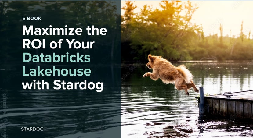 Maximize the ROI of Your Databricks Lakehouse with Stardog