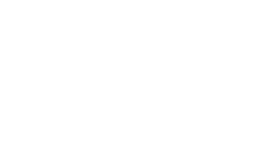 TDWI_logo_white
